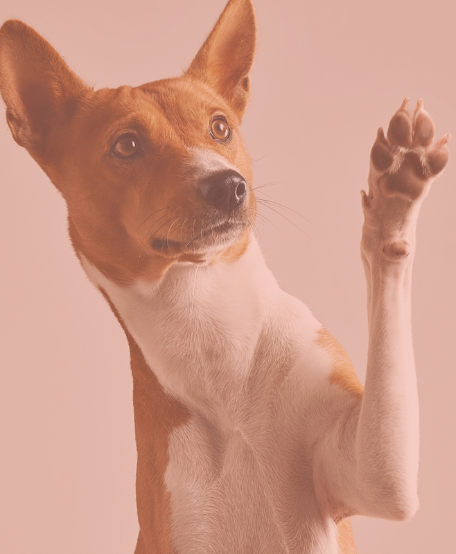 bannerLogin